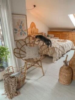 Rattanstuhl Natürlich Auflage Beige Pfauform FLORENTINE 14 Rattanstuhl Natürlich Auflage Beige Pfauform FLORENTINE -Beliani Verkaufsgeschäft undef src sa picid 800484 type whitesh image