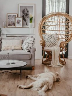 Pfauensessel Rattan / Baumwolle Natürlich EMMANUELLE 13 Pfauensessel Rattan / Baumwolle Natürlich EMMANUELLE -Beliani Verkaufsgeschäft undef src sa picid 800784 type whitesh image