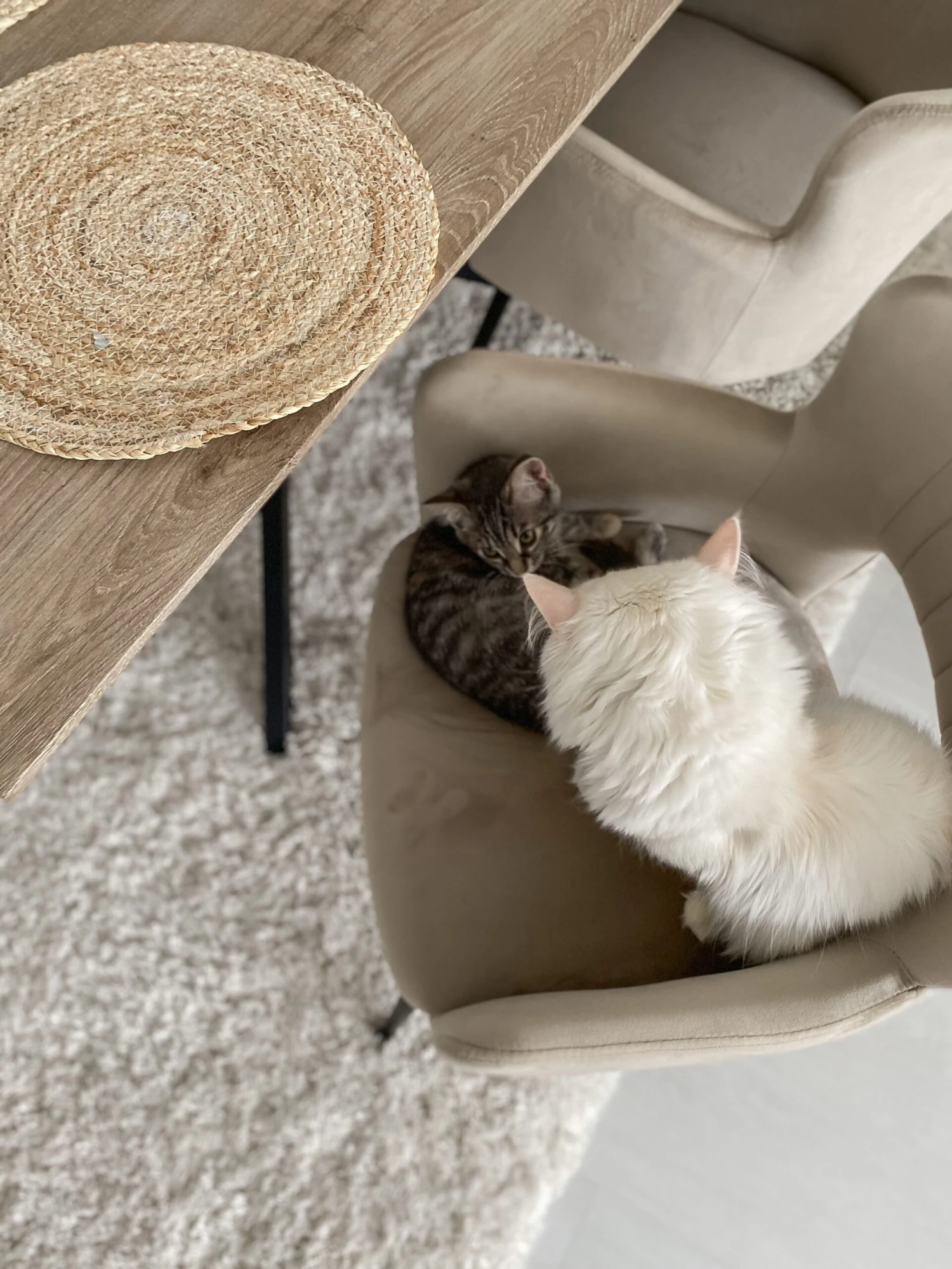 Esstisch Heller Holzfarbton / Schwarz 140 X 80 Cm SPECTRA 5 Esstisch Heller Holzfarbton / Schwarz 140 X 80 Cm SPECTRA – Bild 5